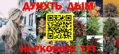 спиды Ставрополь