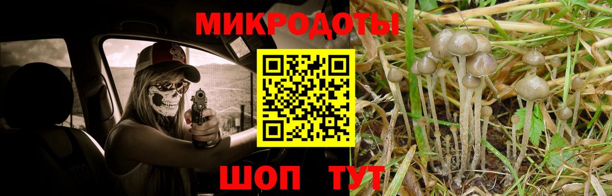 Псилоцибиновые грибы MAGIC MUSHROOMS Протвино